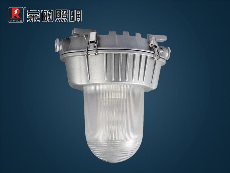 防眩泛光燈,室內(nèi)室外泛光照明燈具,固定式防眩泛光燈,zr8100a