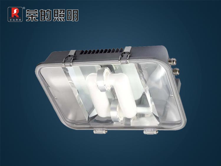 節(jié)能長壽頂燈,ZR8700,無極燈節(jié)能頂燈,節(jié)能型長壽頂燈制造廠家