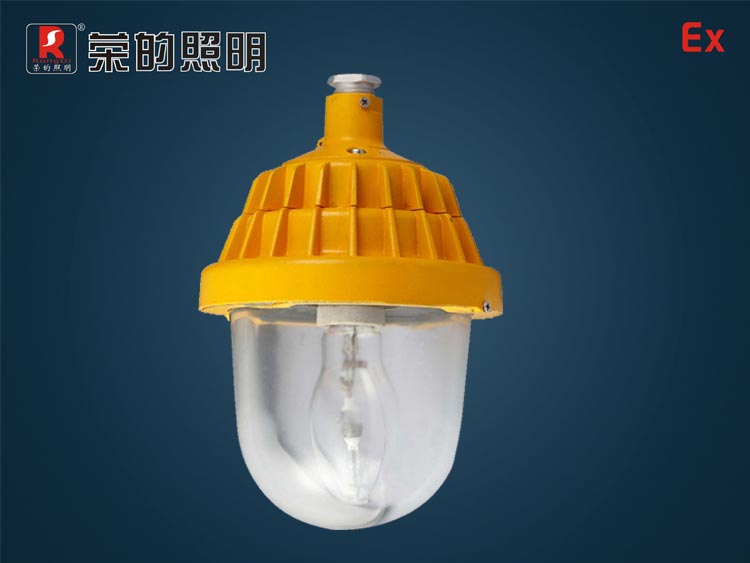 防爆平臺燈,鉆井現(xiàn)場道路照明,油田平臺照明,港口道路照明,工廠用防爆平臺燈
