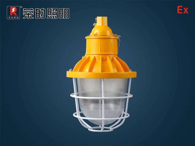 BR9200B,節(jié)能防爆平臺燈,船舶平臺照明燈,帶防護燈罩的平臺燈
